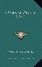 A Week At Welwyn (1873)