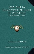 Essai Sur La Condition Des Juifs En Provence: Au Moyen Age (1879)