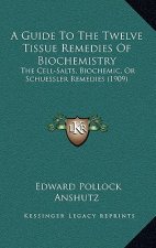 A Guide To The Twelve Tissue Remedies Of Biochemistry: The Cell-Salts, Biochemic, Or Schuessler Remedies (1909)