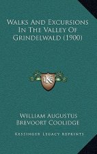 Walks And Excursions In The Valley Of Grindelwald (1900)