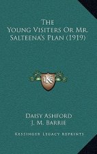 The Young Visiters Or Mr. Salteena's Plan (1919)