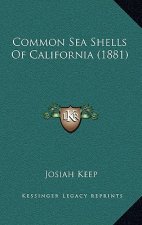 Common Sea Shells Of California (1881)