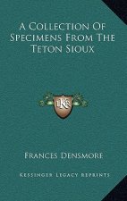 A Collection Of Specimens From The Teton Sioux