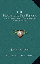 The Practical Fly-Fisher: More Particularly For Grayling Or Umber (1899)