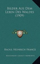 Bilder Aus Dem Leben Des Waldes (1909)