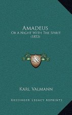 Amadeus: Or A Night With The Spirit (1853)