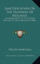Sanctification Or The Highway Of Holiness: An Abridgment Of The Gospel Mystery Of Sanctification (1884)