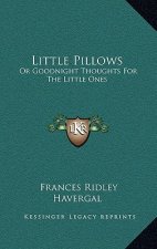 Little Pillows: Or Goodnight Thoughts For The Little Ones