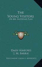 The Young Visitors: Or Mr. Salteena's Plan