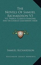 The Novels Of Samuel Richardson V3: Viz. Pamela, Clarissa Harlowe, And Sir Charles Grandison (1824)