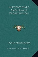Ancient Male And Female Prostitution