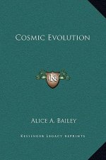 Cosmic Evolution