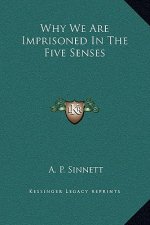 Why We Are Imprisoned In The Five Senses