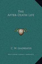 The After-Death Life