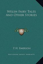 Welsh Fairy Tales And Other Stories