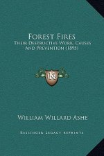 Forest Fires: Their Destructive Work, Causes And Prevention (1895)