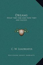 Dreams: What they Are and How they are Caused
