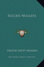 Success Nuggets