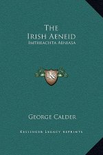 The Irish Aeneid: Imtheachta Aeniasa