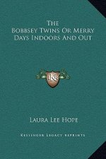 The Bobbsey Twins Or Merry Days Indoors And Out