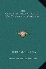 The Camp Fire Girls At School Or The Woleho Weavers