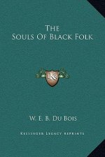 The Souls Of Black Folk