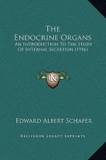 The Endocrine Organs: An Introduction To The Study Of Internal Secretion (1916)
