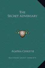 The Secret Adversary