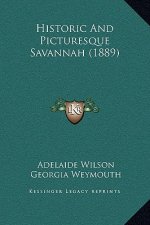 Historic And Picturesque Savannah (1889)