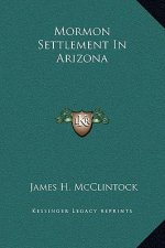Mormon Settlement In Arizona