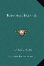Burnham Breaker