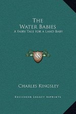 The Water Babies: A Fairy Tale for a Land Baby
