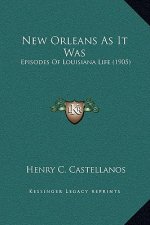 New Orleans As It Was: Episodes Of Louisiana Life (1905)