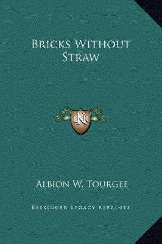 Bricks Without Straw