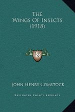 The Wings Of Insects (1918)