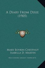 A Diary from Dixie (1905)