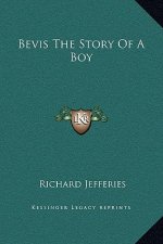 Bevis The Story Of A Boy
