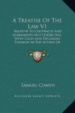 A Treatise Of The Law V1: Relative To Contracts And Agreements Not Under Seal, With Cases And Decisions Thereon In The Action Of Assumpsit (1807