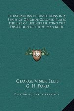 Illustrations of Dissections in a Series of Original Colored Plates the Size of Life Representing the Dissection of the Human Body