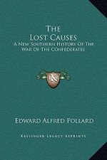 The Lost Causes: A New Southern History Of The War Of The Confederates