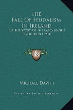 The Fall Of Feudalism In Ireland: Or The Story Of The Land League Revolution (1904)