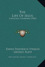 The Life Of Jesus: Critically Examined (1902)