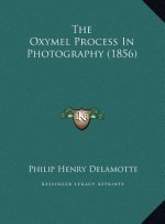 The Oxymel Process In Photography (1856)