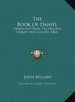 The Book Of Daniel: Translated From The Original Hebrew And Chaldee (1863)
