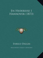 En Hedereise I Hannover (1873)