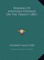 Remarks Of Jonathan Edwards On The Trinity (1881)