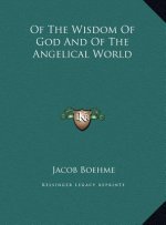 Of the Wisdom of God and of the Angelical World