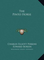 The Pinto Horse