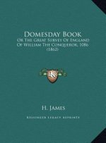 Domesday Book: Or The Great Survey Of England Of William The Conqueror, 1086 (1862)