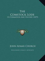 The Comstock Lode: Its Formation And History (1879)